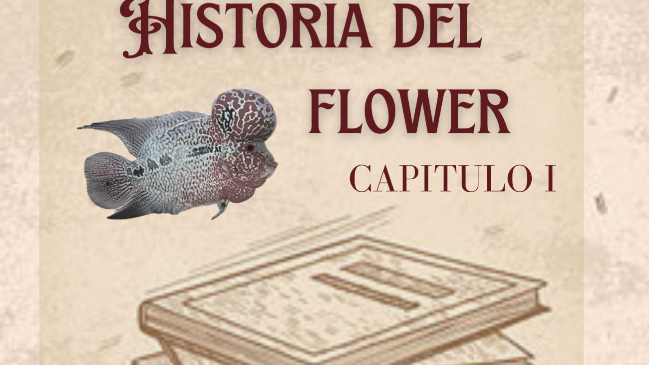 fondo_blog5_1