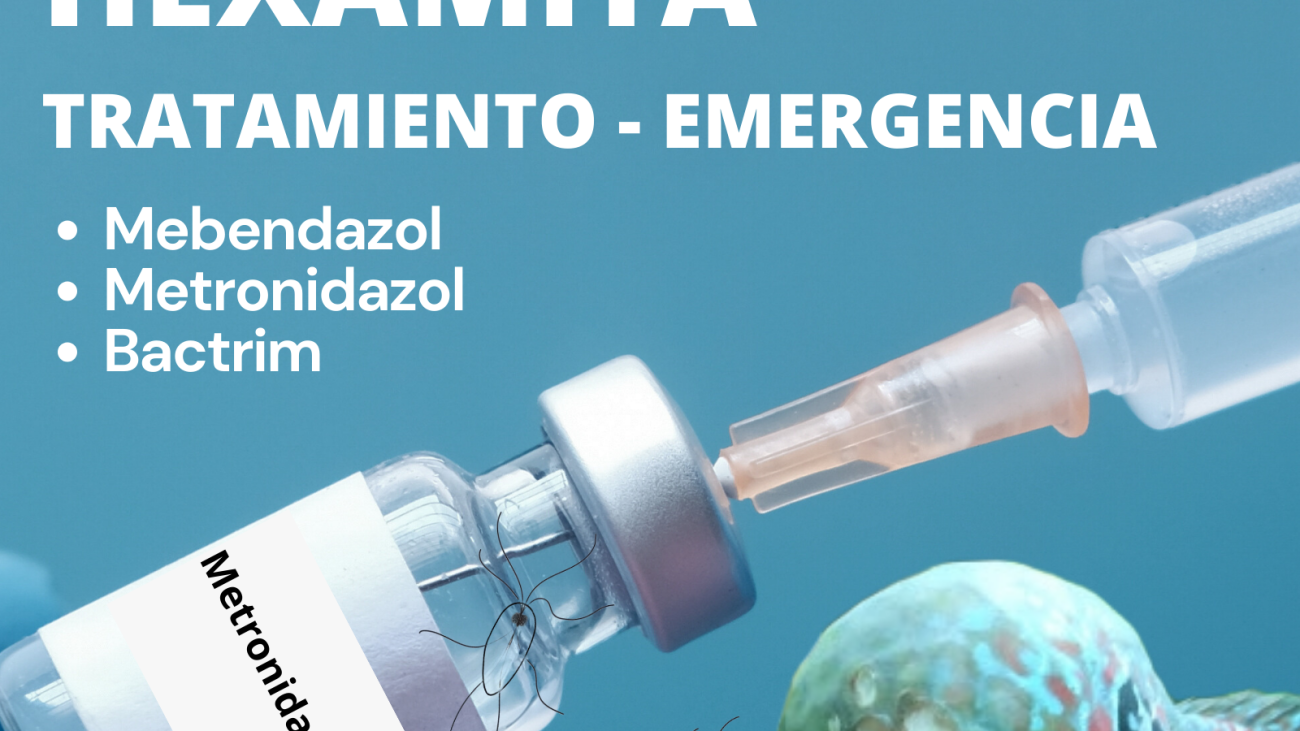 fondo_blog6